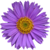 monktype.pages.dev favicon